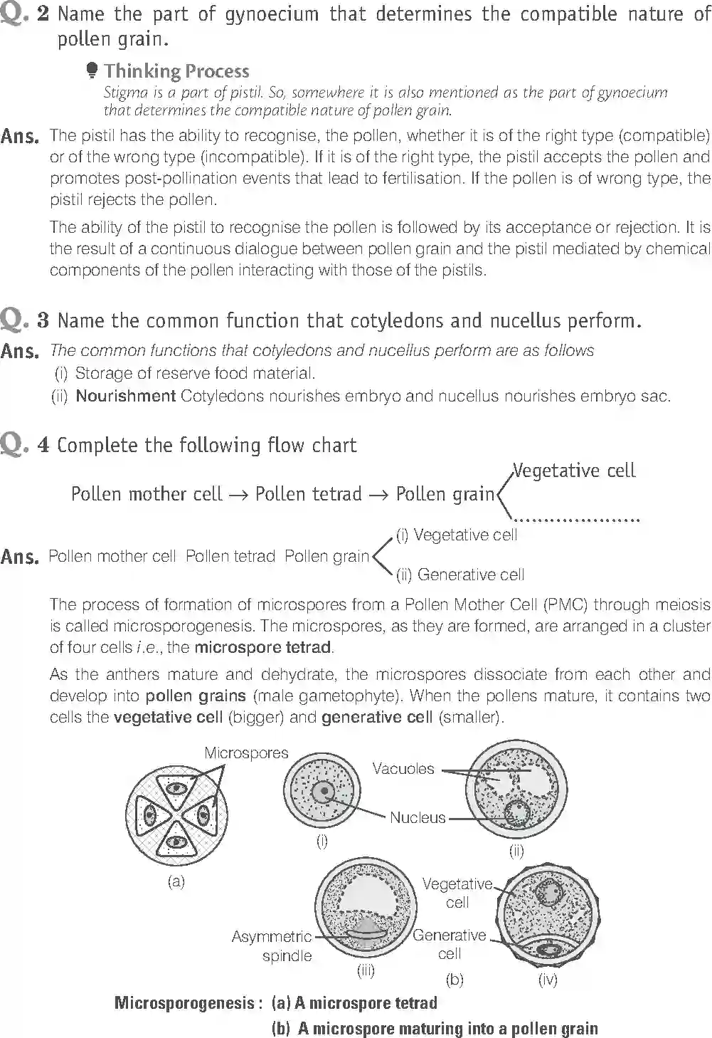 NCERT-Solution-Class-12-Biology-Exemplar-Sexual-Reproduction-in-Flowering-Plants-2490-page-9