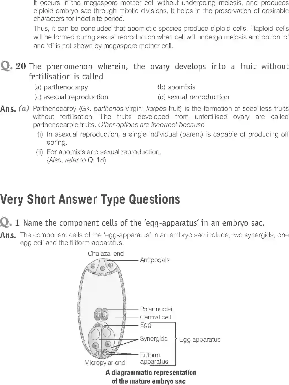 NCERT-Solution-Class-12-Biology-Exemplar-Sexual-Reproduction-in-Flowering-Plants-318-page-8