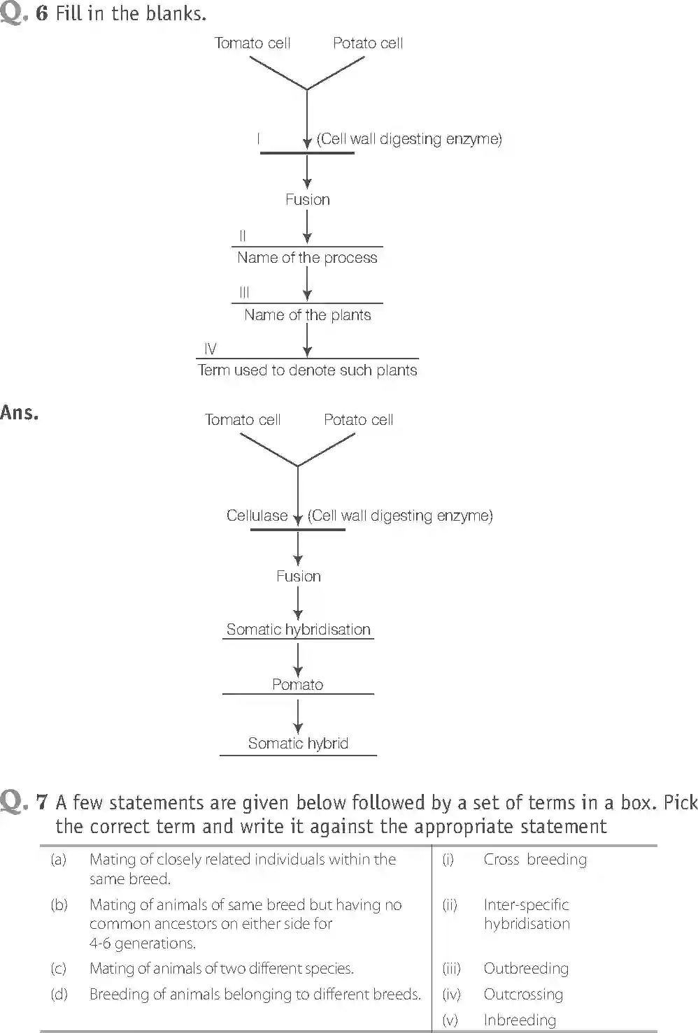 NCERT-Solution-Class-12-Biology-Exemplar-Strategies-for-Enhancement-in-Food-Production-325-page-8