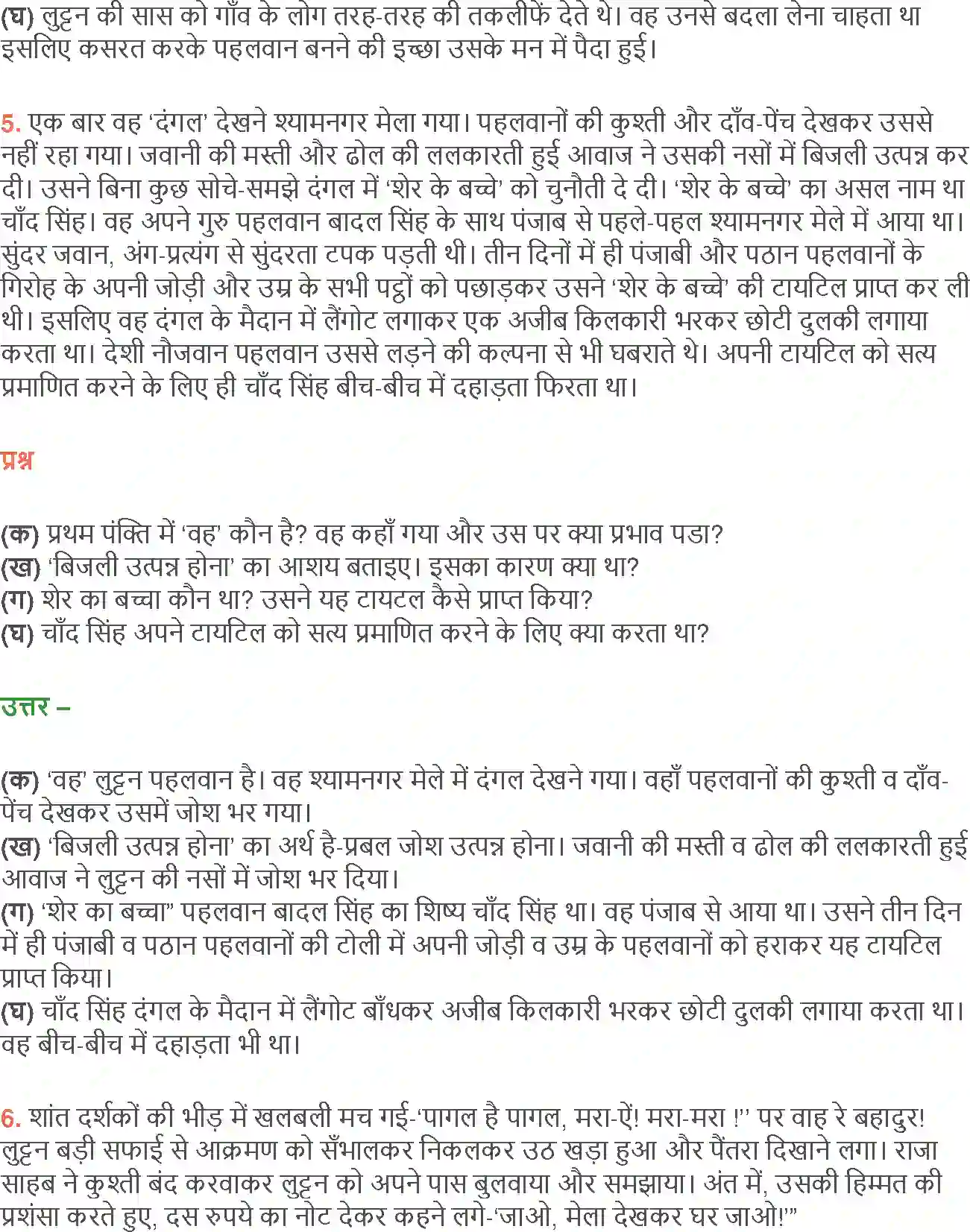 NCERT-Solution-Class-12-Hindi-Aroh-Pahalwan-Ki-Dholak-271-page-8