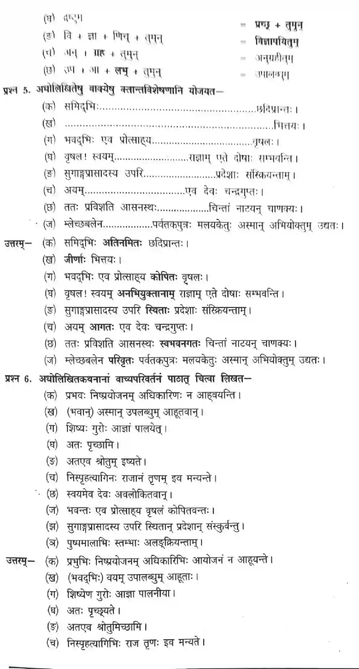 NCERT-Solution-Class-12-Sanskrit-Rashtrachinta-Gariyasi-2454-page-11