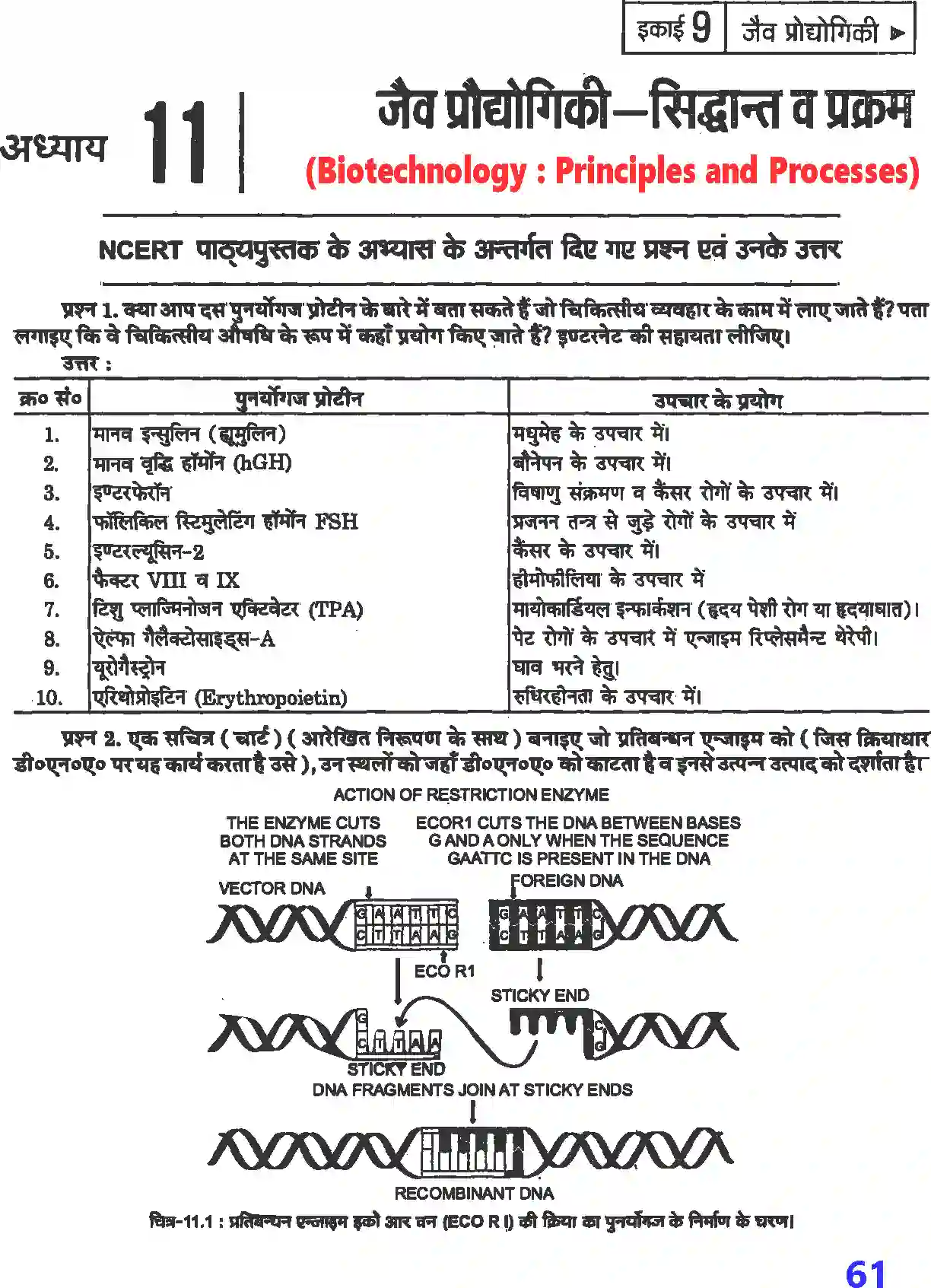 NCERT-Solution-Class-12-जीव-विज्ञान-जैव-प्रौद्योगिकी--सिद्धांत-व-प्रक्रम-4503-page-1