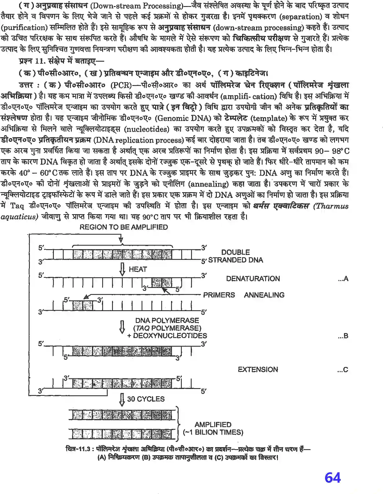 NCERT-Solution-Class-12-जीव-विज्ञान-जैव-प्रौद्योगिकी--सिद्धांत-व-प्रक्रम-4503-page-4