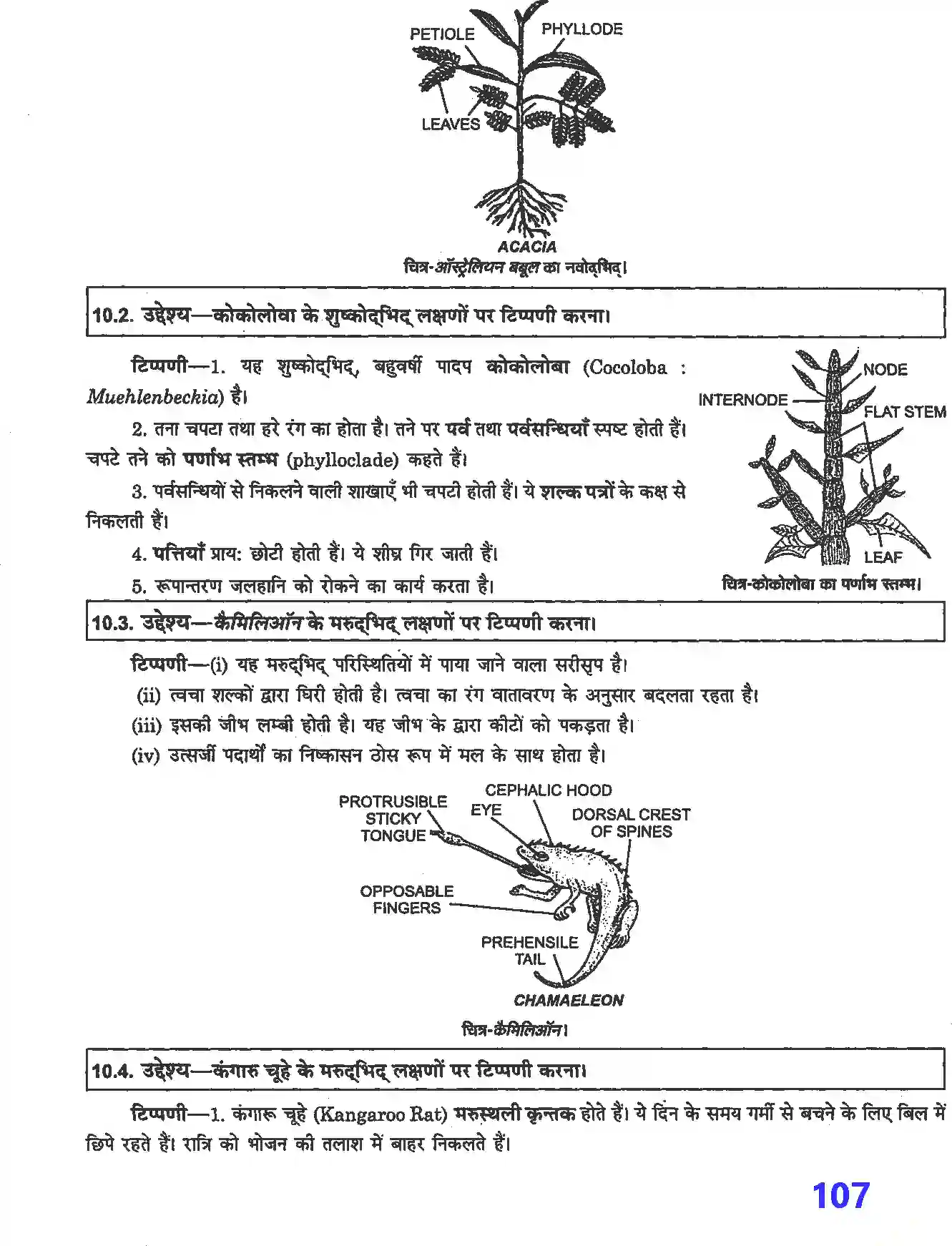 NCERT-Solution-Class-12-जीव-विज्ञान-प्रयोगात्मक-एवं-प्रोजेक्ट-कार्य-4509-page-14