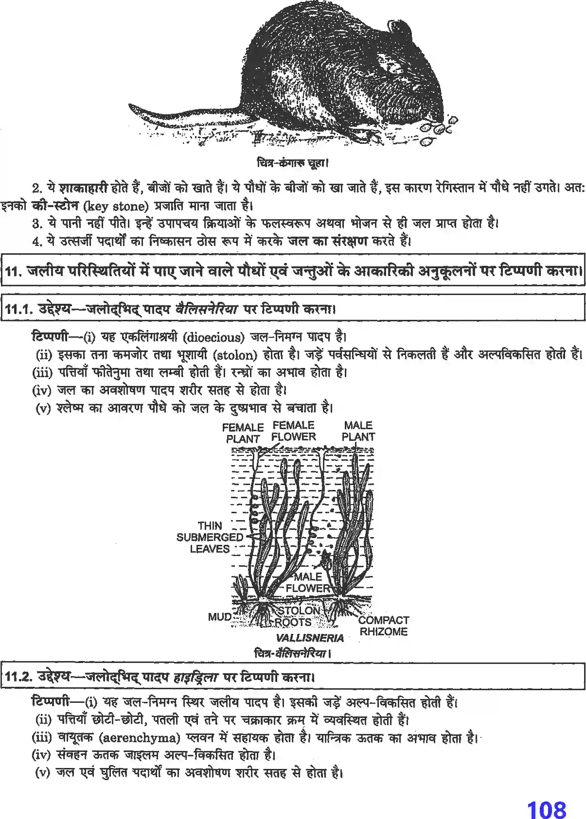 NCERT-Solution-Class-12-जीव-विज्ञान-प्रयोगात्मक-एवं-प्रोजेक्ट-कार्य-4509-page-15