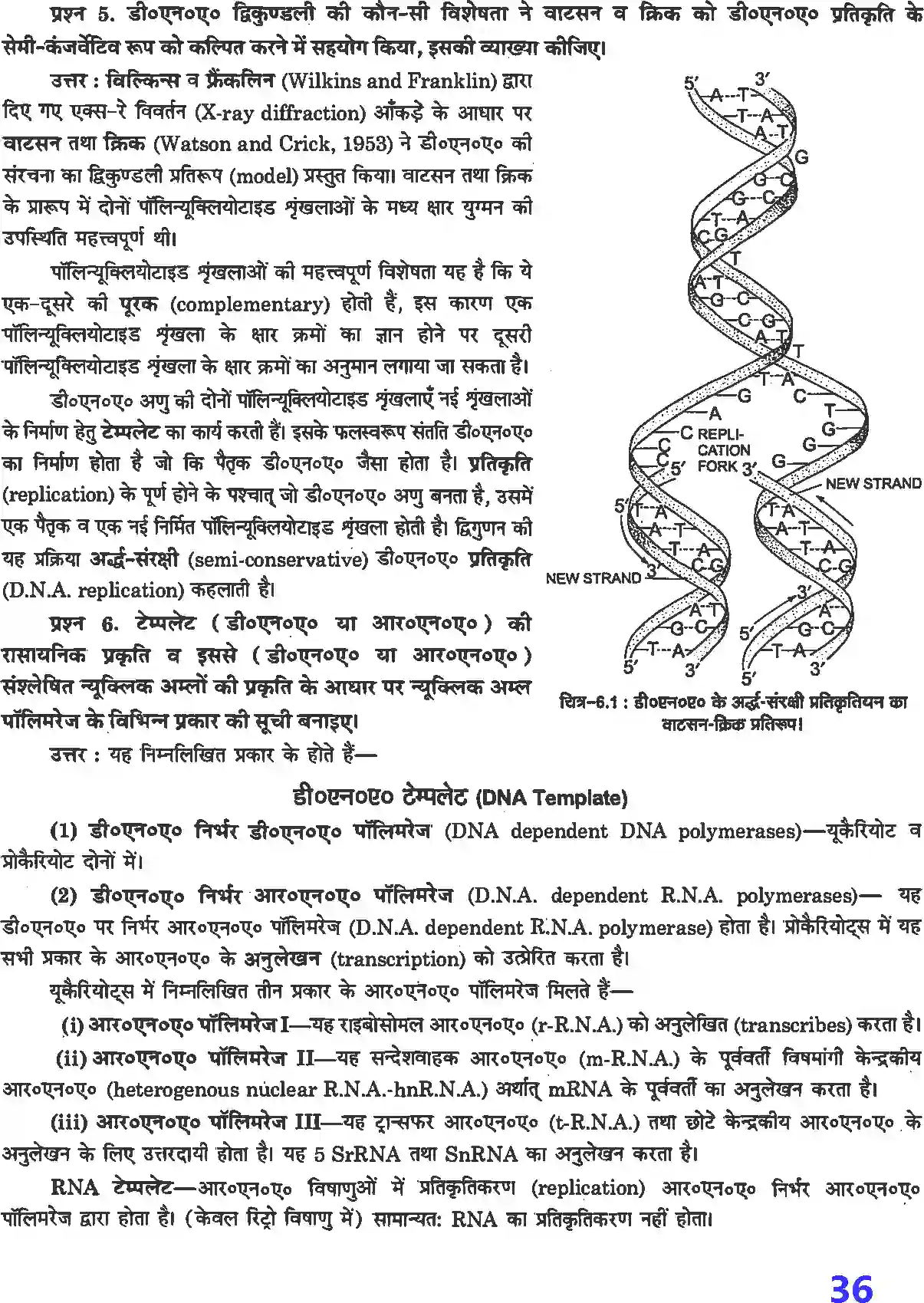 NCERT-Solution-Class-12-जीव-विज्ञान-वंशागति-के-आण्विक-आधार-4498-page-2