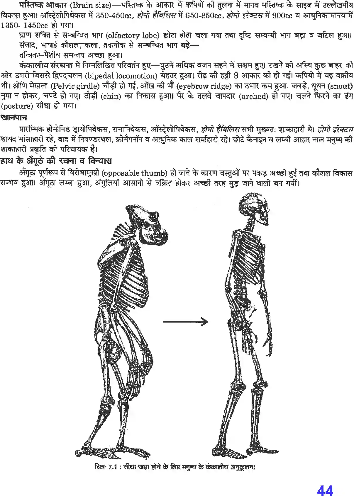 NCERT-Solution-Class-12-जीव-विज्ञान-विकास-4499-page-2