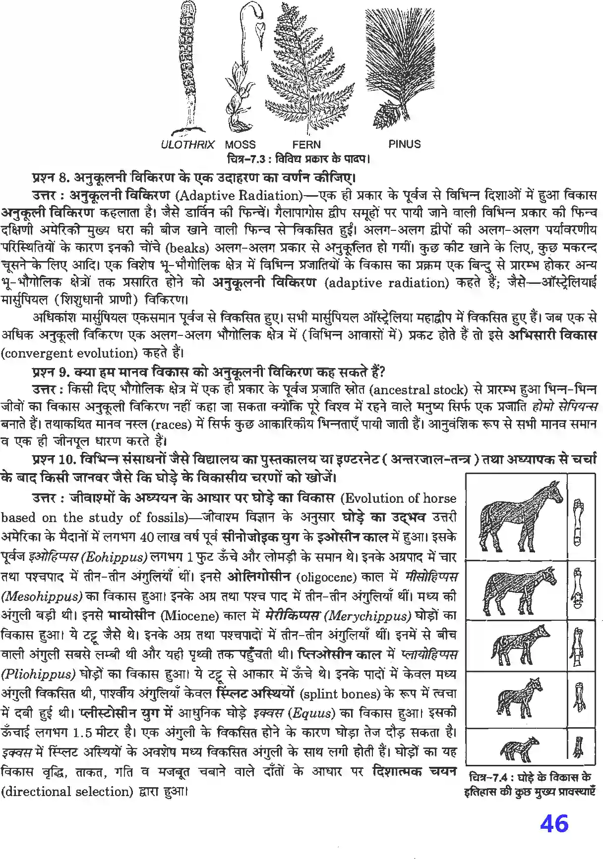 NCERT-Solution-Class-12-जीव-विज्ञान-विकास-4499-page-4