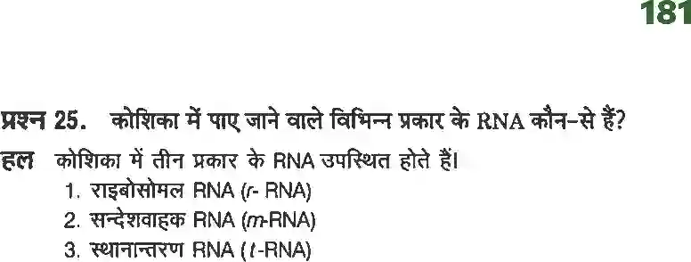NCERT-Solution-Class-12-रसायन-विज्ञानII-जैव-अणु-4490-page-14