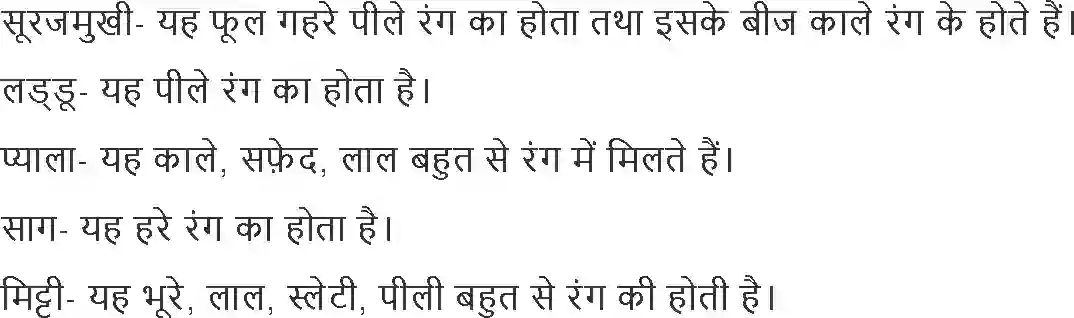NCERT-Solution-Class-2-Hindi-Chapter-8-Titli-Aur-Kali-4271-page-5