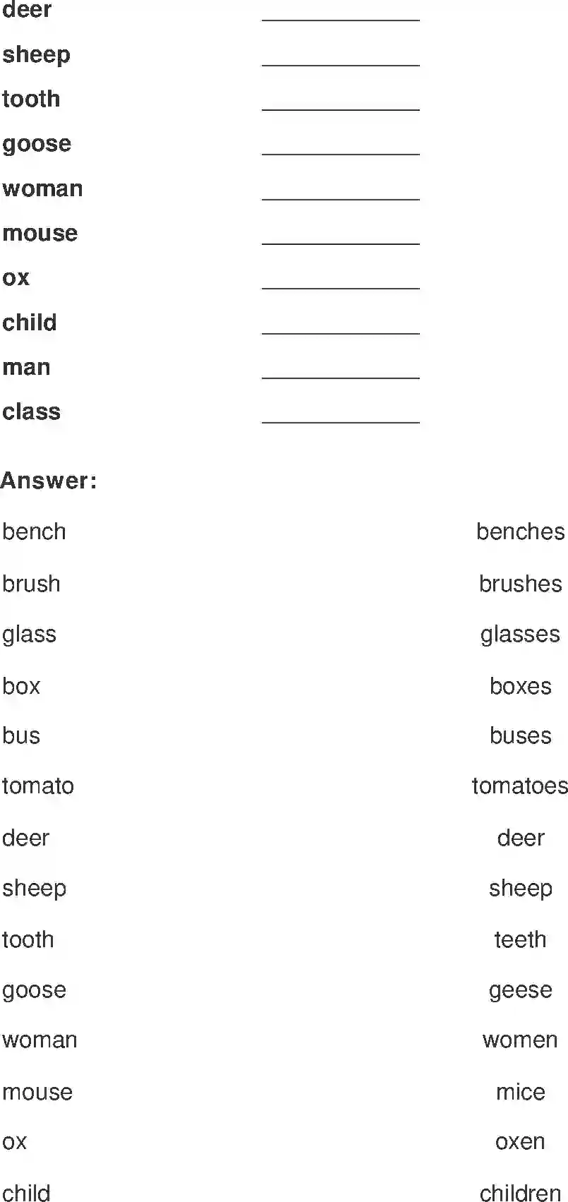 NCERT-Solution-Class-2-Marigold-Chapter-15-I-am-the-Music-Man-4293-page-5