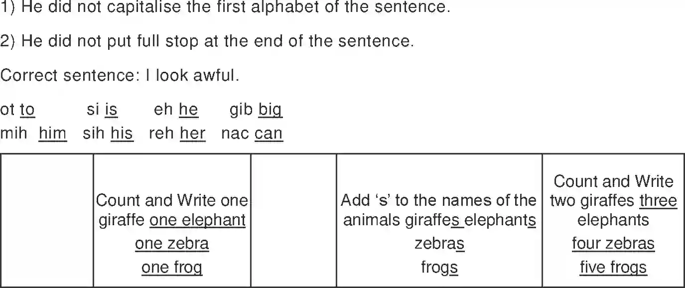 NCERT-Solution-Class-2-Marigold-Chapter-4-I-Want-2110-page-7