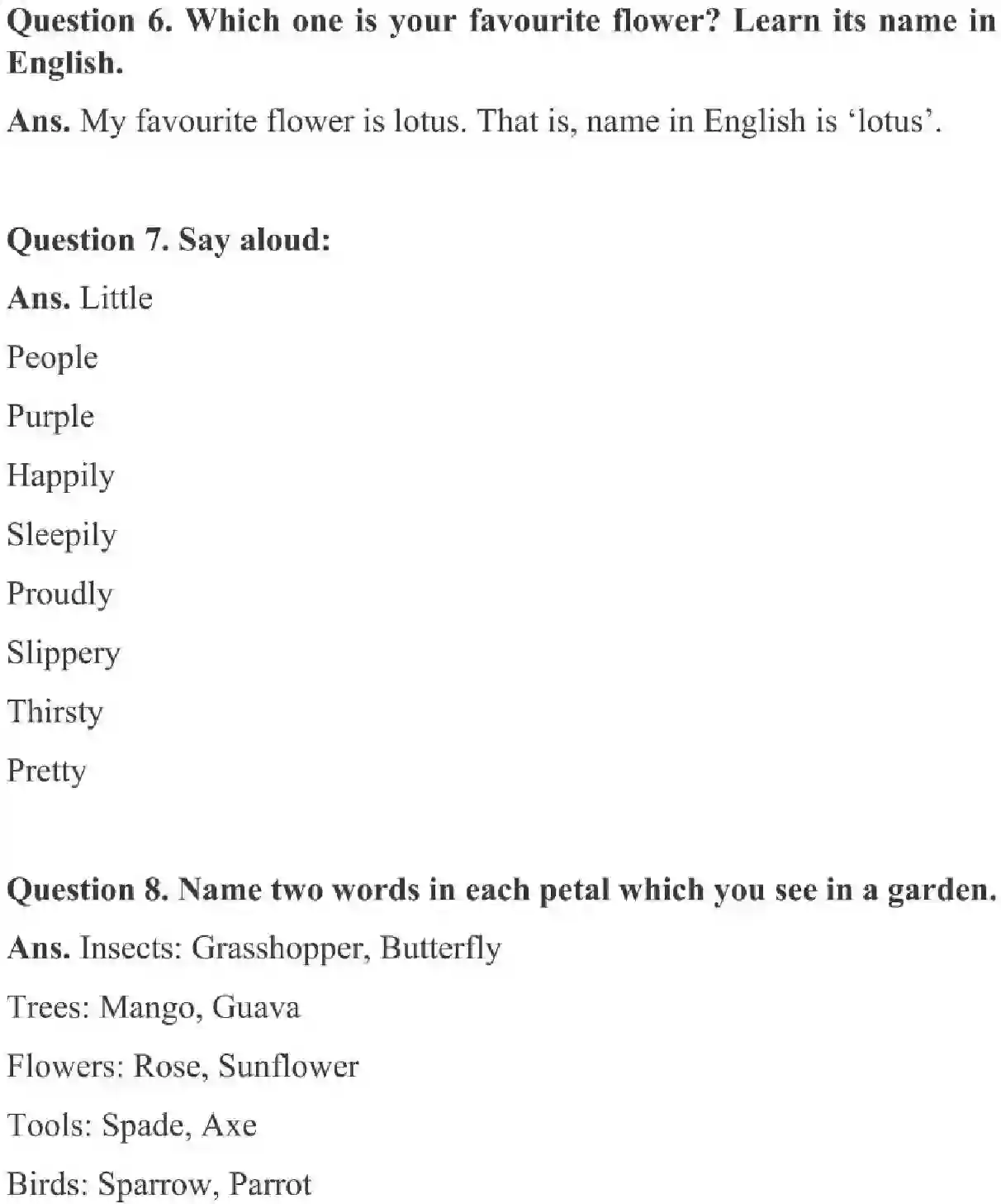 NCERT-Solution-Class-3-English-Chapter-1-The-Magic-Garden-2009-page-2