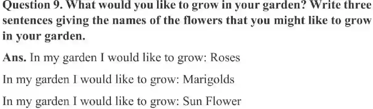 NCERT-Solution-Class-3-English-Chapter-1-The-Magic-Garden-2009-page-3