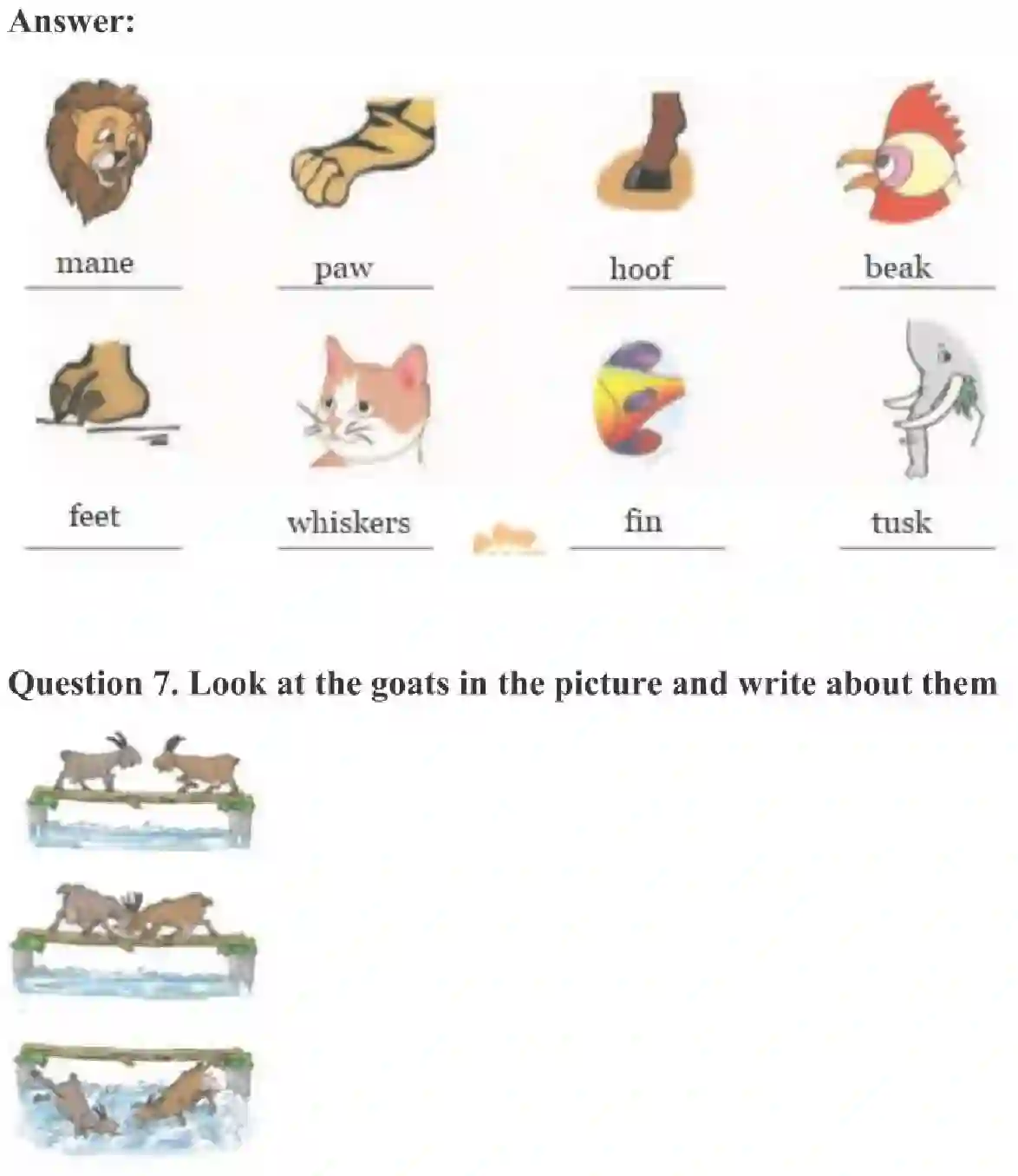 NCERT-Solution-Class-3-English-Chapter-10-Ship-of-the-Desert-2018-page-3