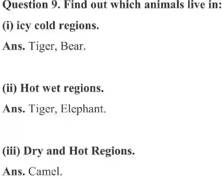 NCERT-Solution-Class-3-English-Chapter-10-Ship-of-the-Desert-2018-page-6