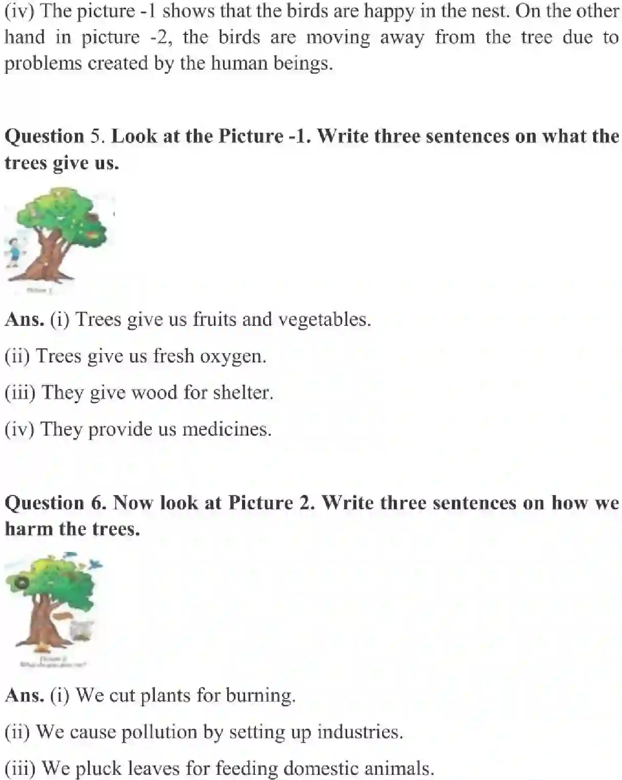 NCERT-Solution-Class-3-English-Chapter-13-Little-by-Little-2021-page-2