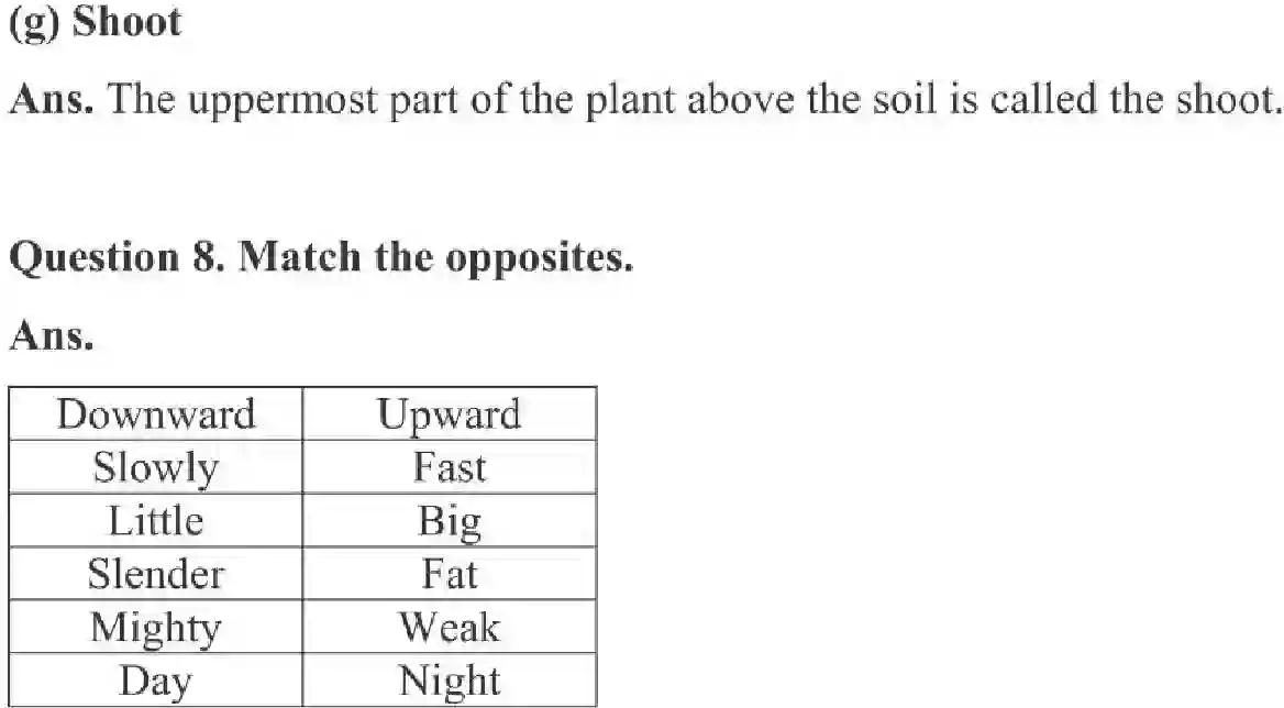 NCERT-Solution-Class-3-English-Chapter-13-Little-by-Little-2021-page-4