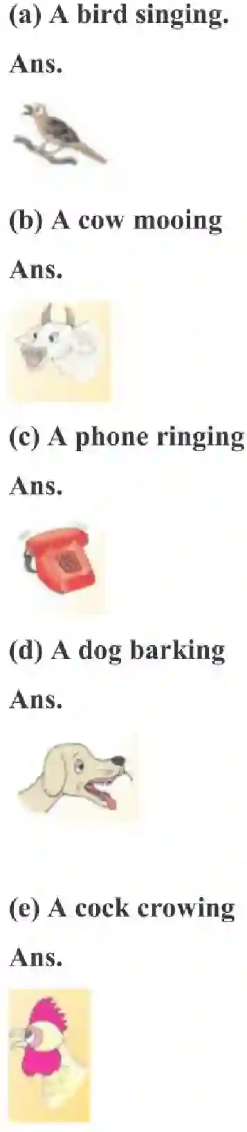 NCERT-Solution-Class-3-English-Chapter-14-Sea-Song-2022-page-3