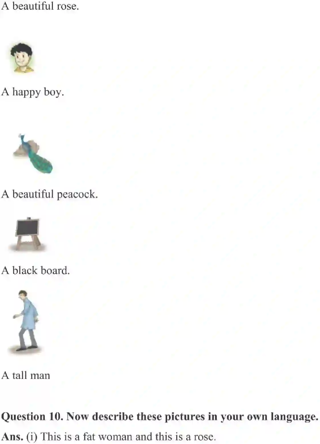 NCERT-Solution-Class-3-English-Chapter-2-Nina-and-the-Baby-Sparrows-2010-page-3