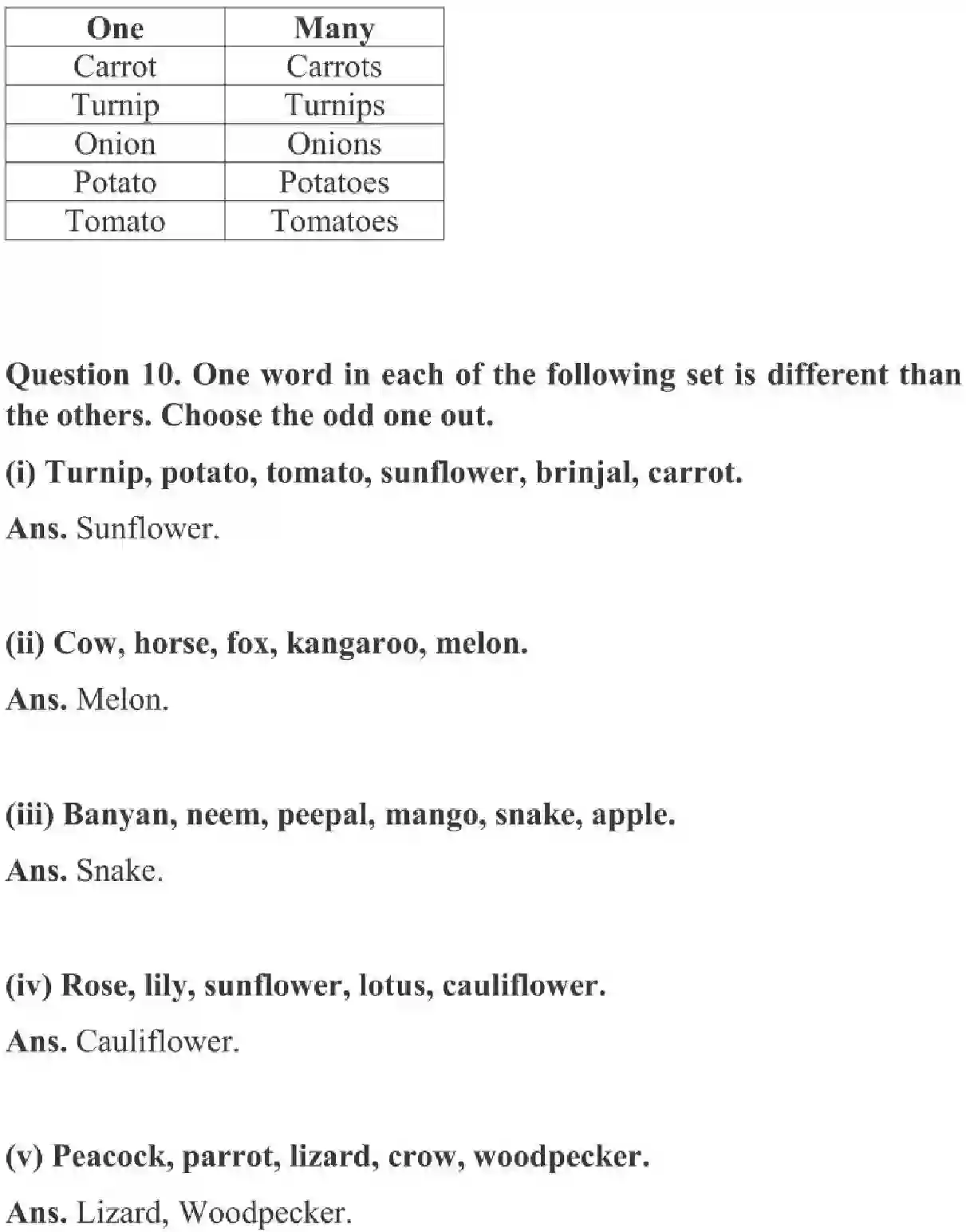 NCERT-Solution-Class-3-English-Chapter-3-The-Enormous-Trip-2011-page-4