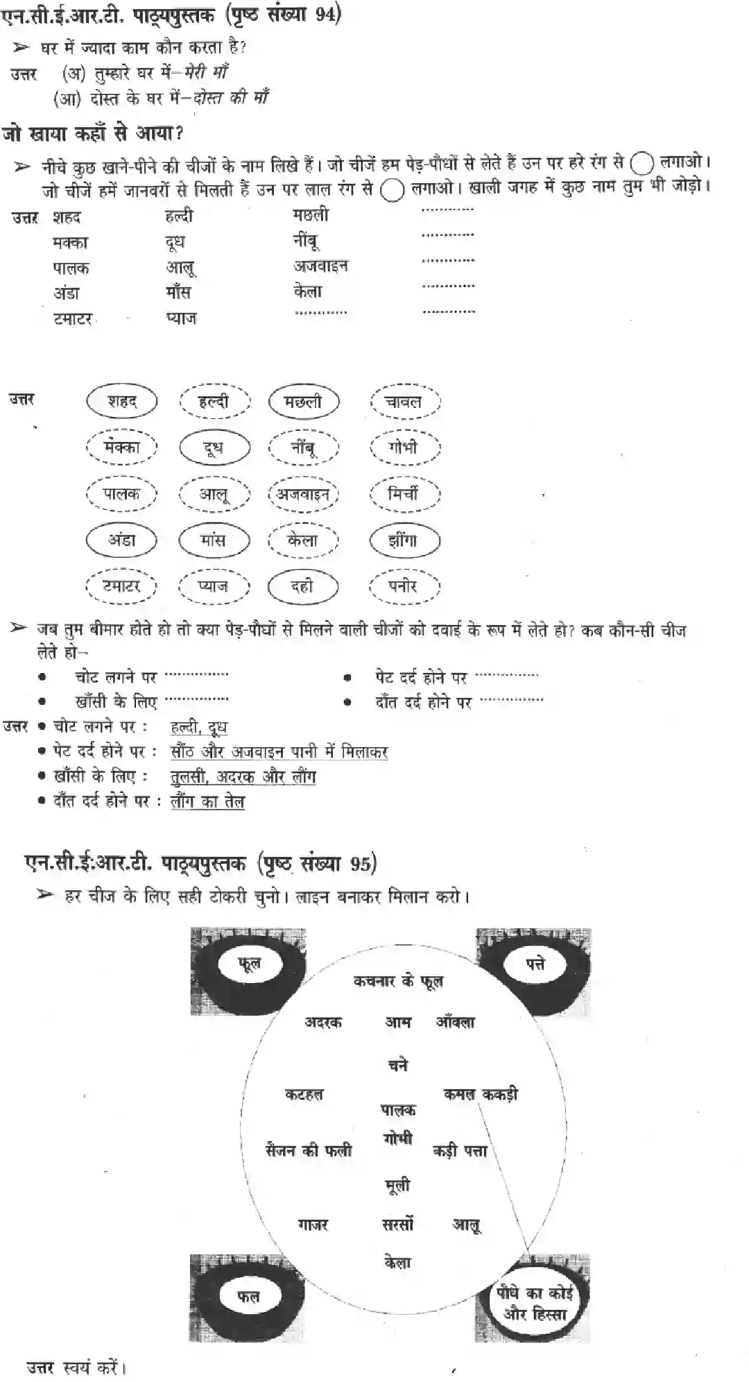 NCERT-Solution-Class-3-Paryavaran-Adhyayan-Chapter-14-Kaha-Se-Aaya-Kisne-Pakaya-2042-page-2