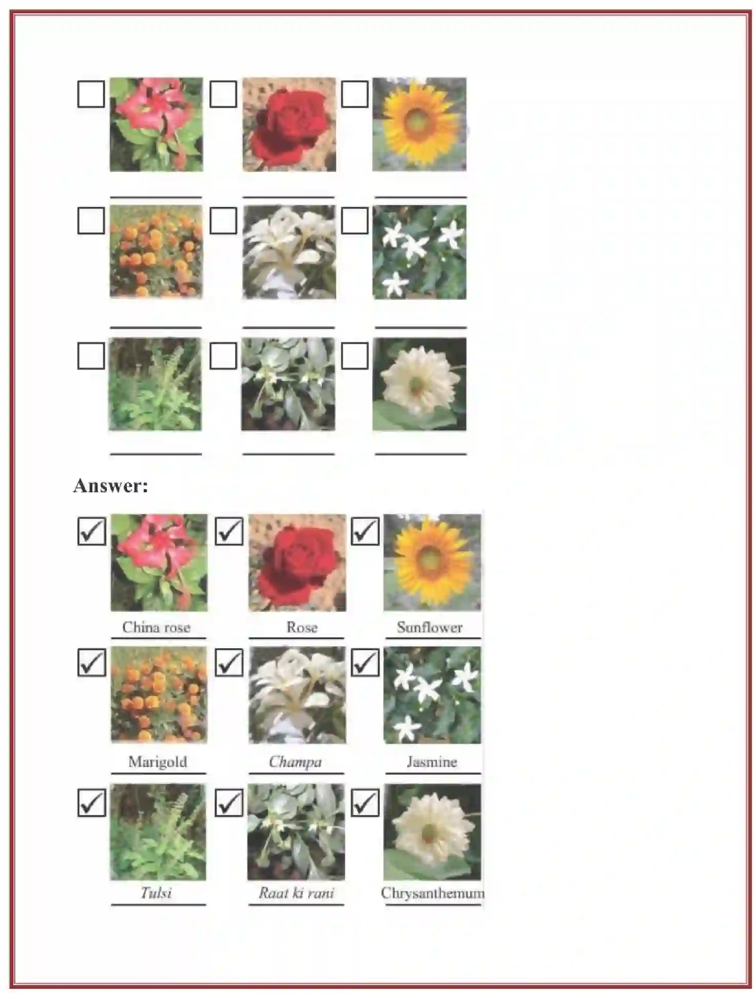 NCERT-Solution-Class-4-Looking-Around-EVS-Chapter-11-Valley-Of-Flowers-4095-page-3