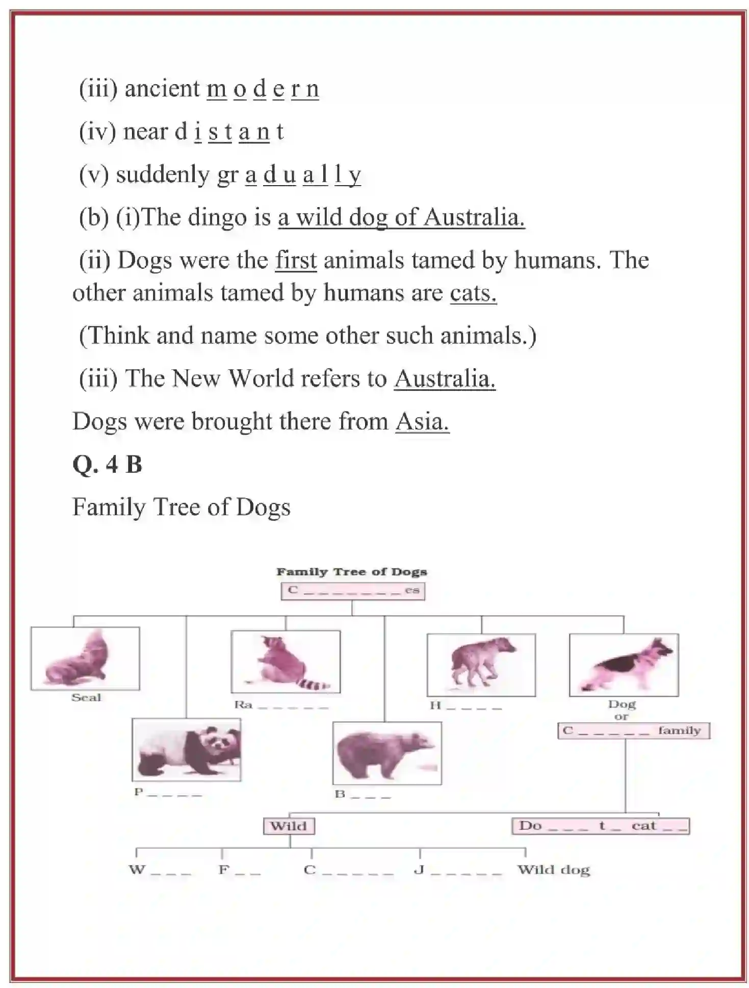 NCERT-Solution-Class-6-English-Chapter-2-How-the-Dog-Found-Himself-3832-page-11