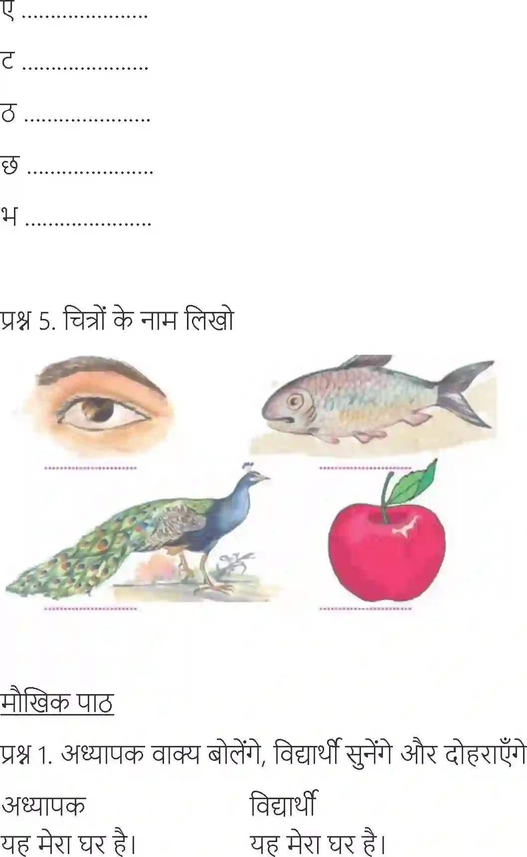 NCERT-Solution-Class-6-Hindi-Chapter-5-Bhaloo-1702-page-2