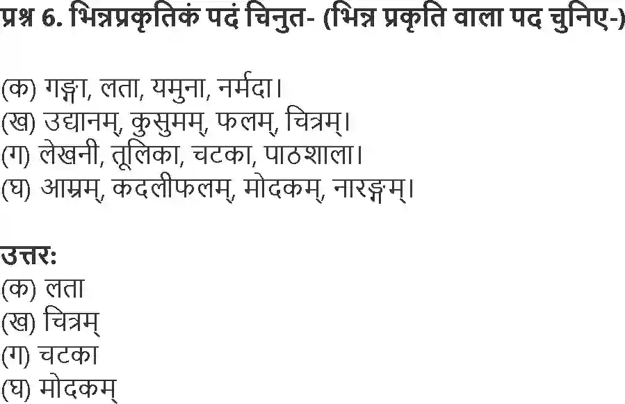 NCERT-Solution-Class-6-Sanskrit-Chapter-5-Vriksha-1747-page-4