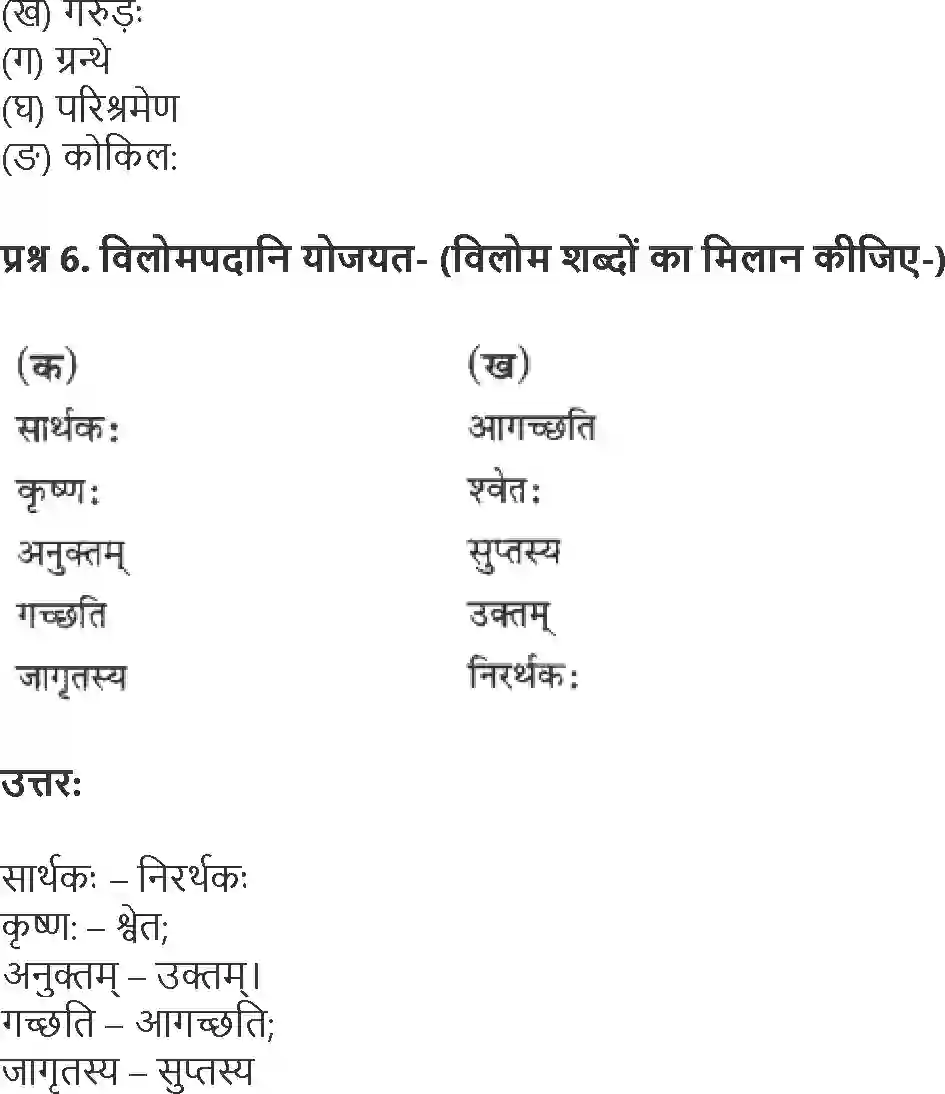 NCERT-Solution-Class-6-Sanskrit-Chapter-8-Suktistavak-1750-page-3