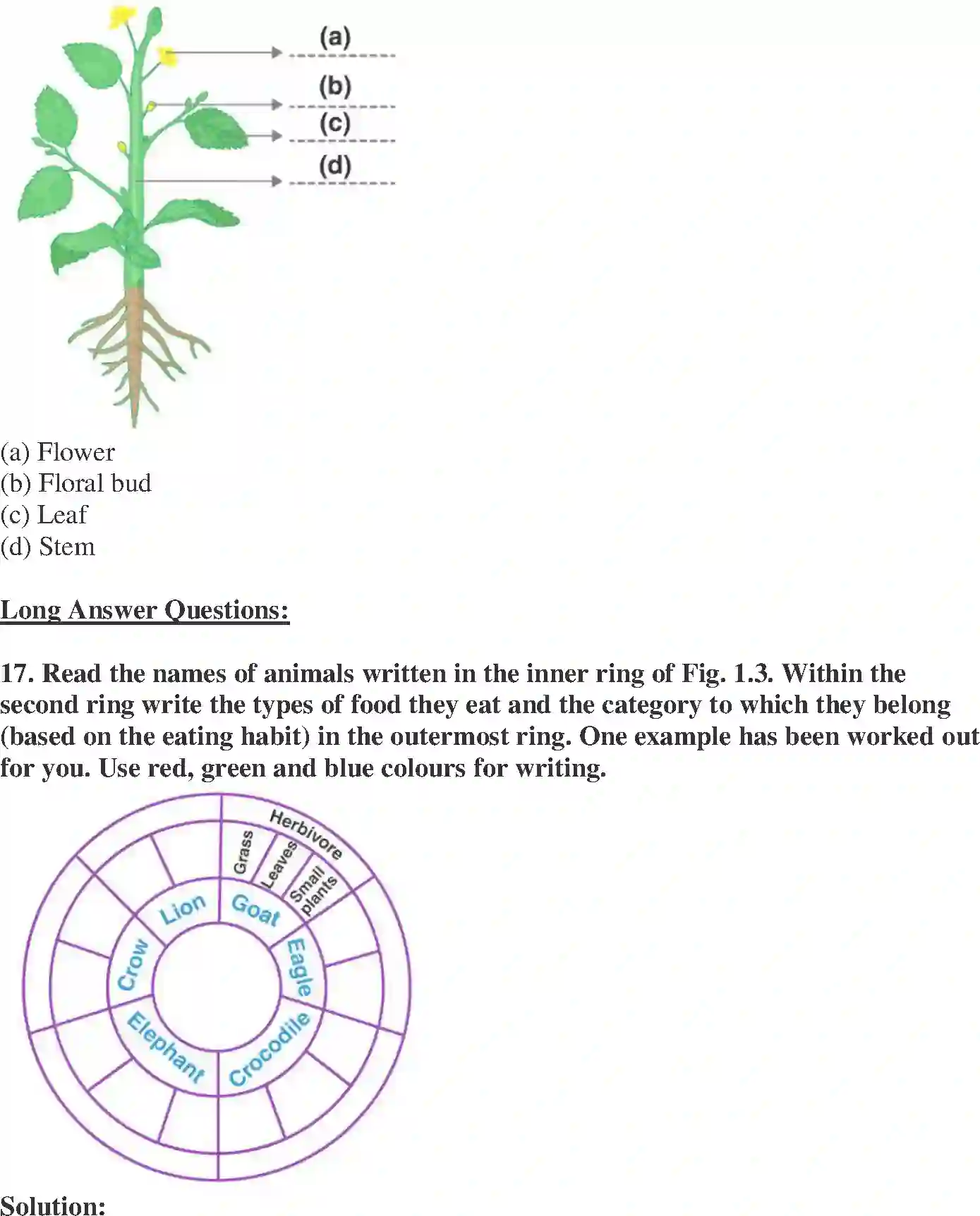 NCERT-Solution-Class-6-Science-Exemplar-Food-Where-does-it-come-from-1767-page-6