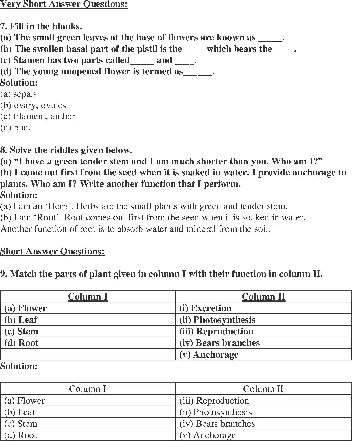 NCERT-Solution-Class-6-Science-Exemplar-Getting-to-Know-Plants-1773-page-3
