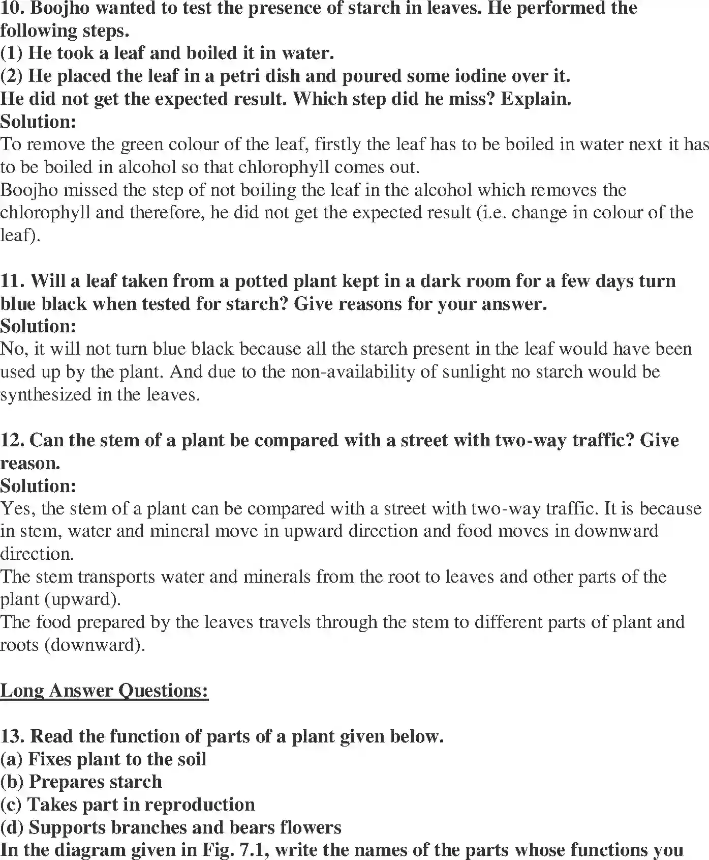 NCERT-Solution-Class-6-Science-Exemplar-Getting-to-Know-Plants-1773-page-4