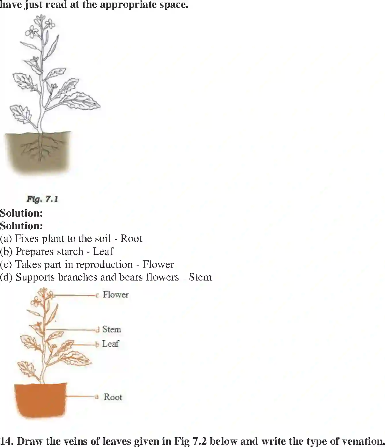 NCERT-Solution-Class-6-Science-Exemplar-Getting-to-Know-Plants-1773-page-5