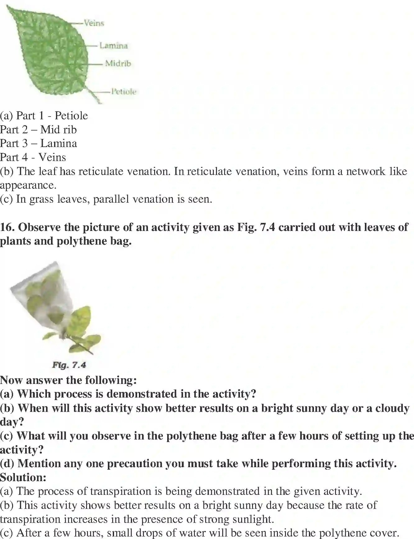 NCERT-Solution-Class-6-Science-Exemplar-Getting-to-Know-Plants-1773-page-7