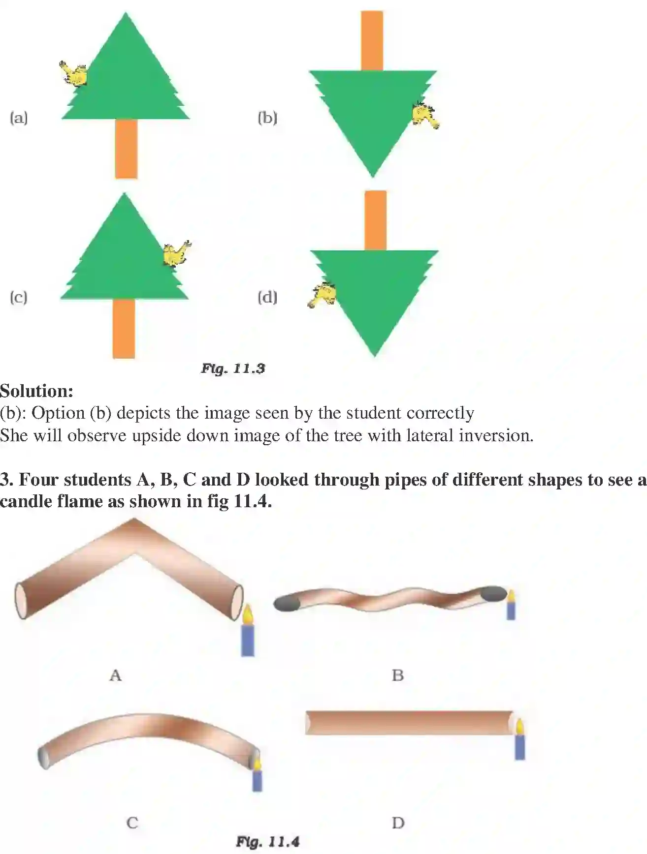 NCERT-Solution-Class-6-Science-Exemplar-Light-3949-page-2