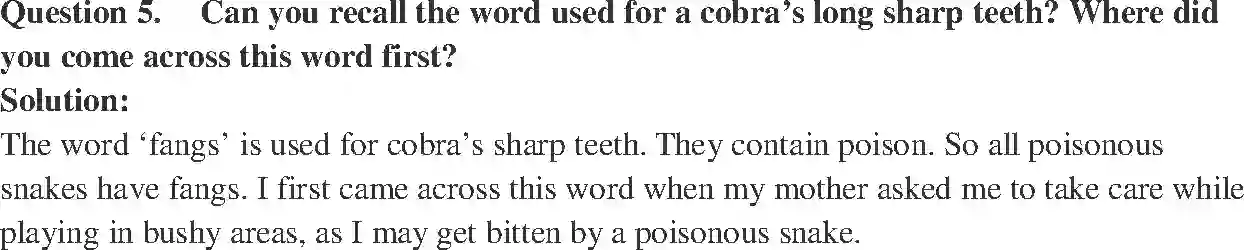 NCERT-Solution-Class-7-English-Honeycomb-Garden-Snake-3696-page-2