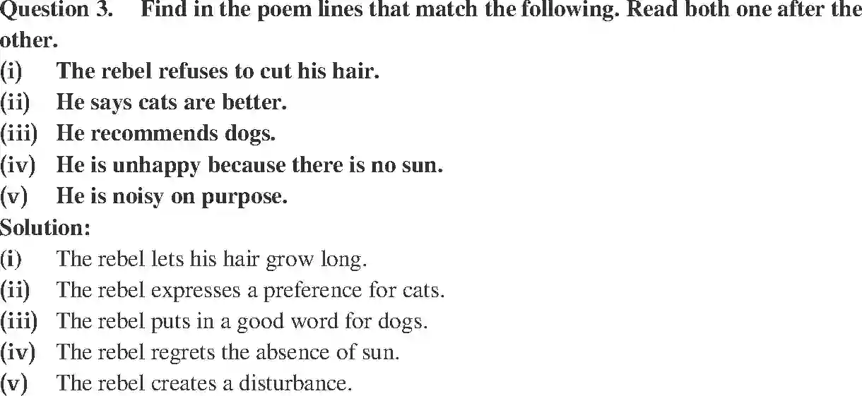 NCERT-Solution-Class-7-English-Honeycomb-The-Rebel-1517-page-2
