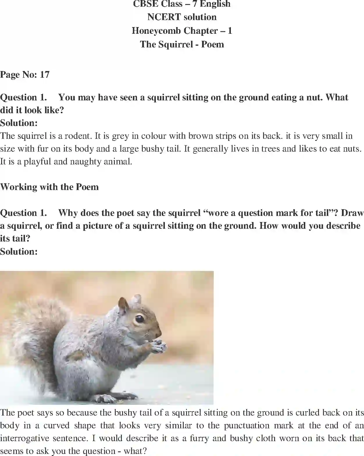 NCERT-Solution-Class-7-English-Honeycomb-The-Squirrel-Poem-1516-page-1