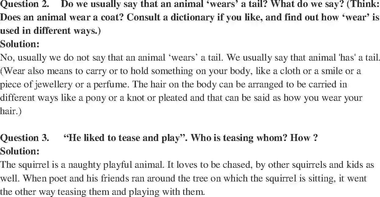 NCERT-Solution-Class-7-English-Honeycomb-The-Squirrel-Poem-1516-page-2