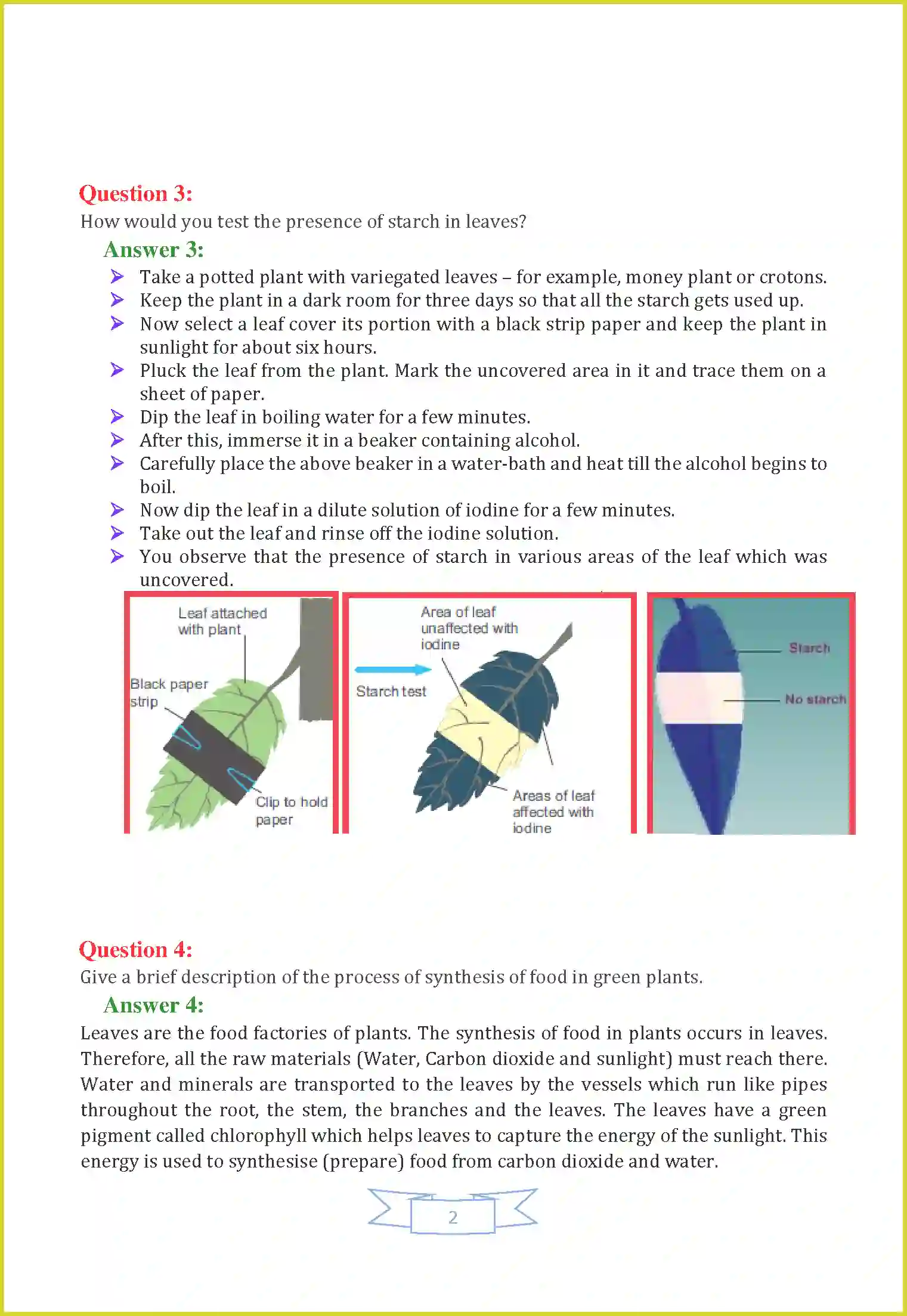 NCERT-Solution-Class-7-Science-Chapter-1-Nutrition-in-Plants-3650-page-2