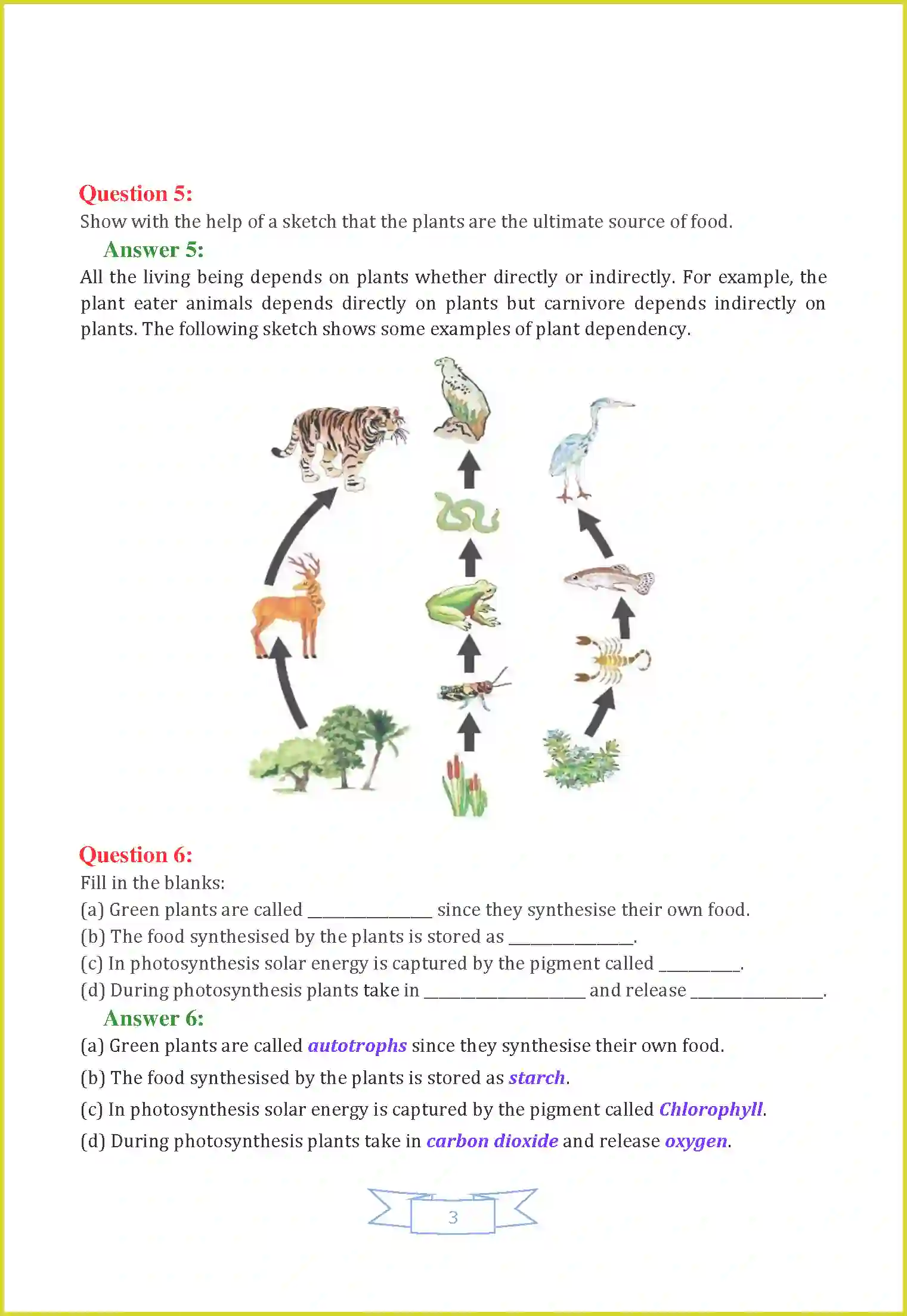 NCERT-Solution-Class-7-Science-Chapter-1-Nutrition-in-Plants-3650-page-3