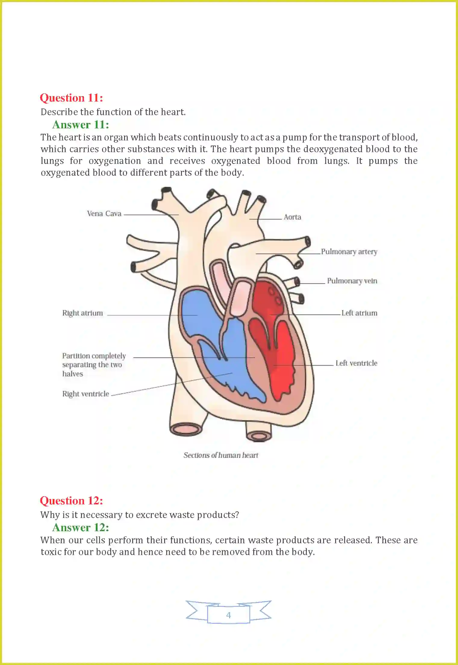 NCERT-Solution-Class-7-Science-Chapter-11-Transportation-in-Animals-and-Plants-1488-page-4