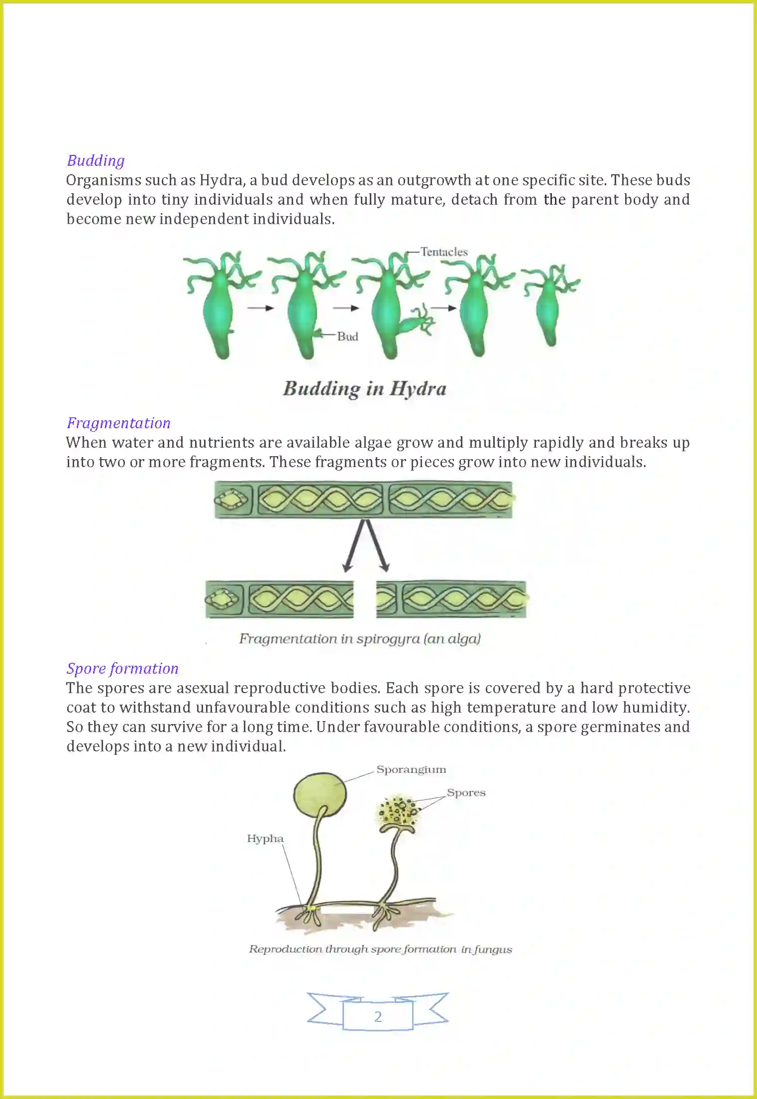 NCERT-Solution-Class-7-Science-Chapter-12-Reproduction-in-Plants-3661-page-2
