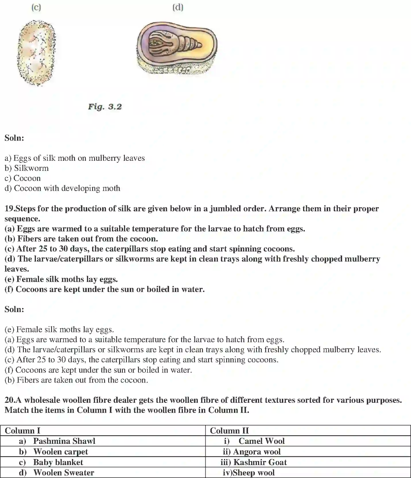 NCERT-Solution-Class-7-Science-Exemplar-Fibre-to-fabric-Exemplar-3775-page-7