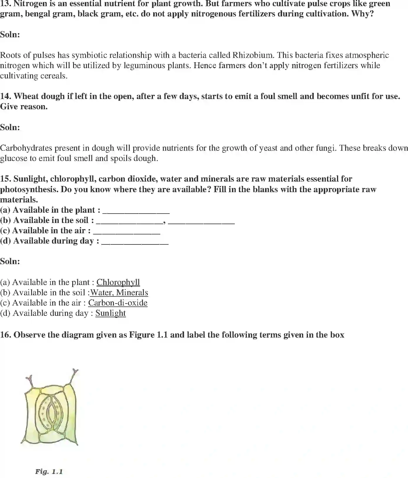 NCERT-Solution-Class-7-Science-Exemplar-Nutrition-in-Plants-Exemplar-3773-page-5