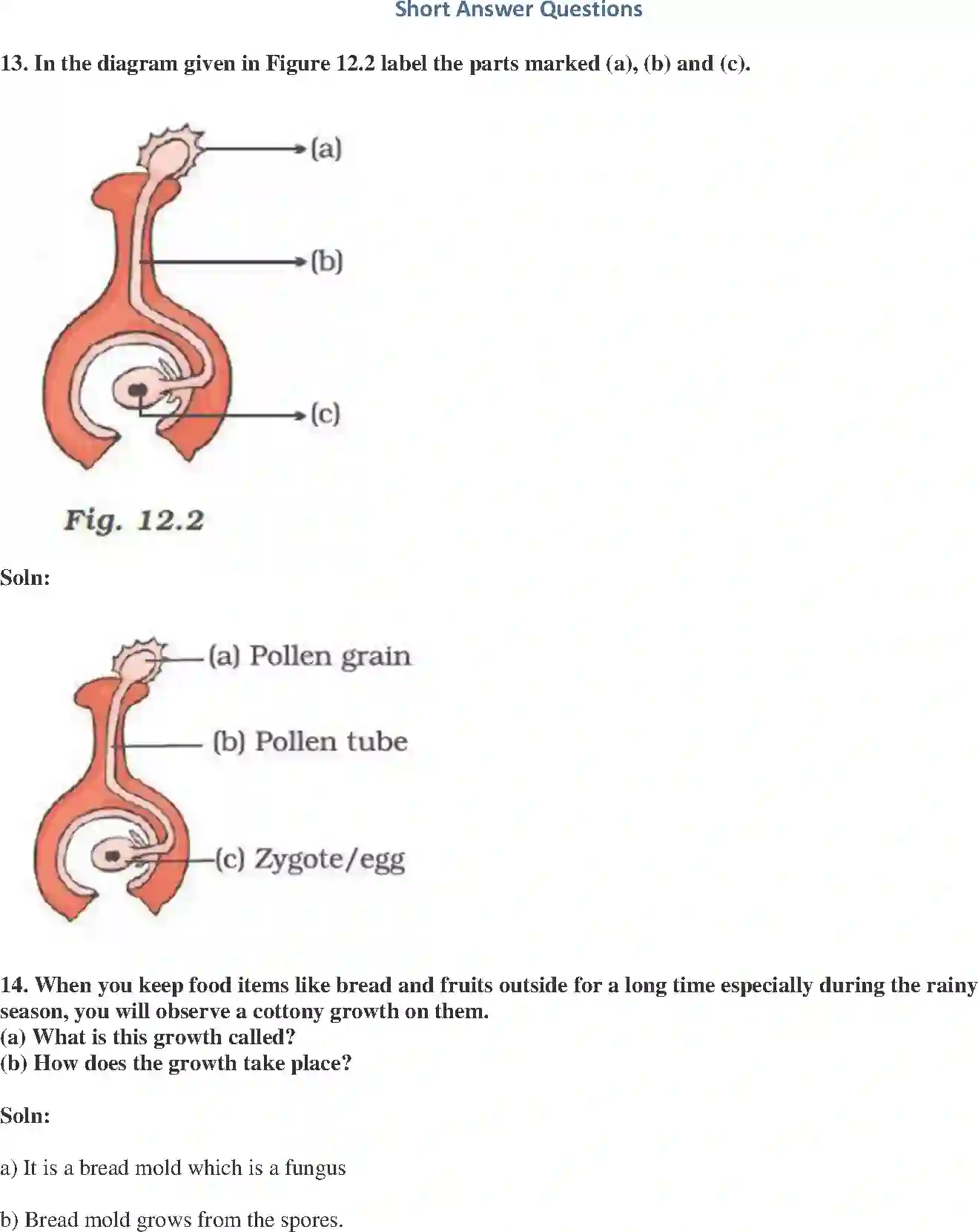 NCERT-Solution-Class-7-Science-Exemplar-Reproduction-in-Plants-Exemplar-3784-page-5