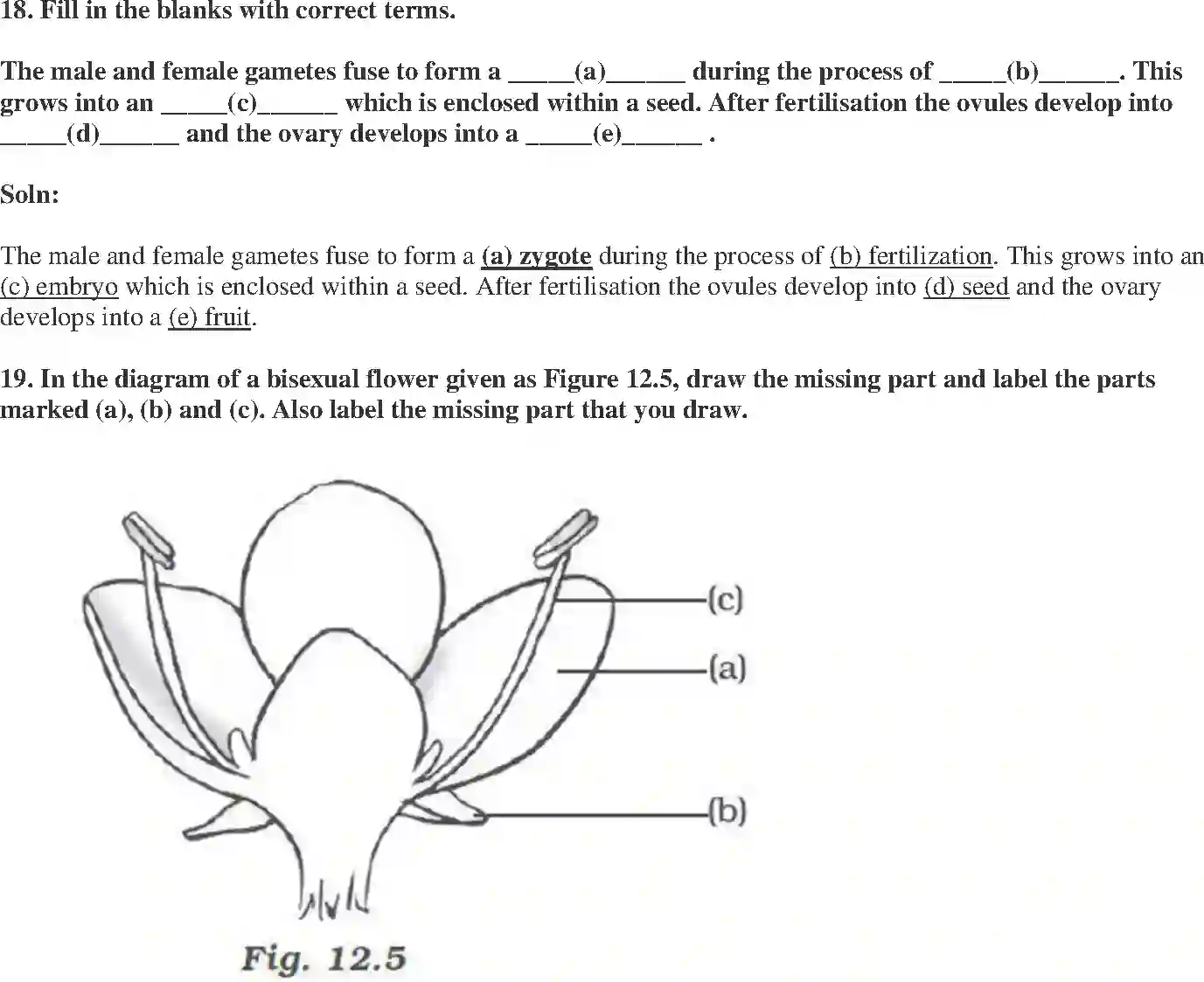 NCERT-Solution-Class-7-Science-Exemplar-Reproduction-in-Plants-Exemplar-3784-page-8