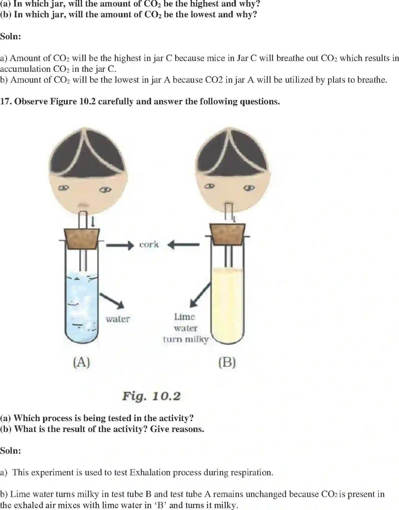 NCERT-Solution-Class-7-Science-Exemplar-Respiration-in-Organisms-Exemplar-3782-page-6